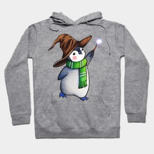 Cute Wizard Penguin - Malfoy Potter Hoodie